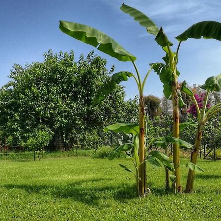 B&B Tifeo Villafranca Tirrena Eksteriør billede
