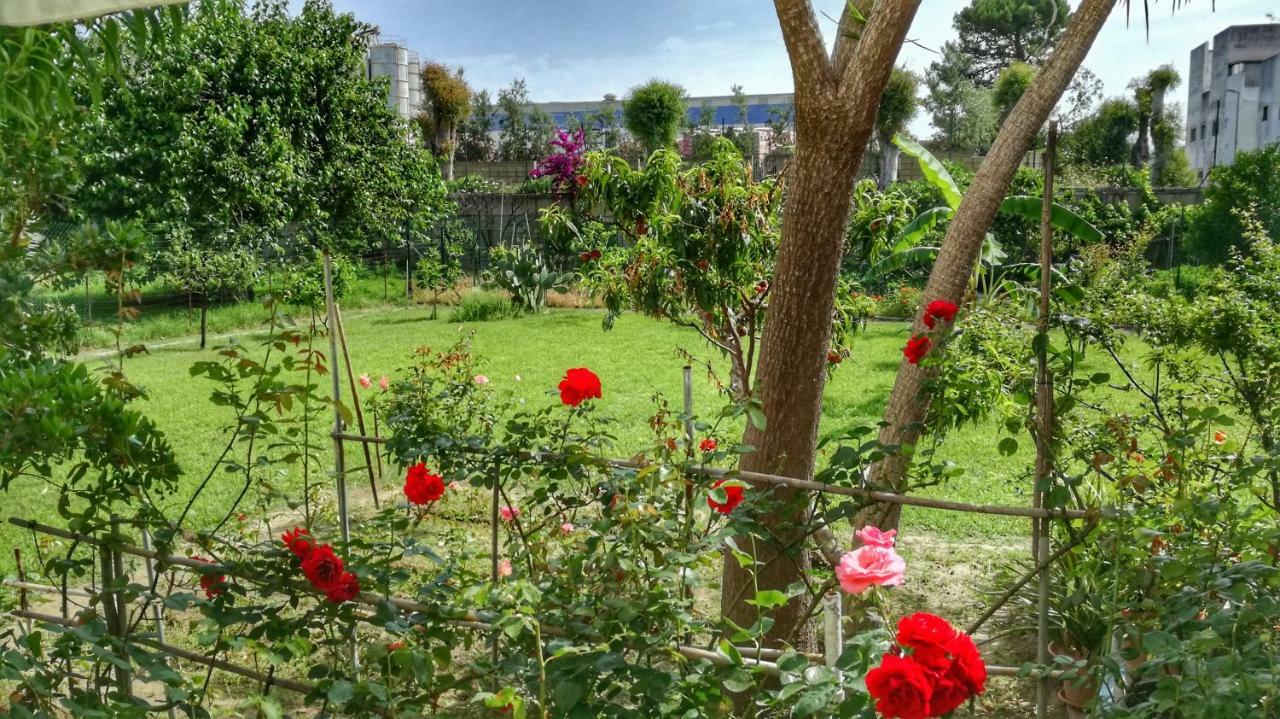B&B Tifeo Villafranca Tirrena Eksteriør billede